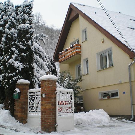 Villa Harmonia Panzio Visegrad Bagian luar foto